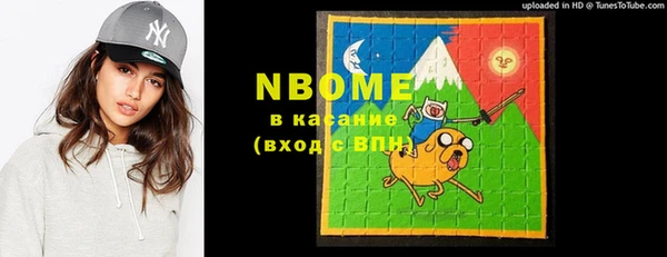 хмурый Алзамай